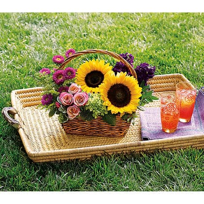 Picnic in the Park