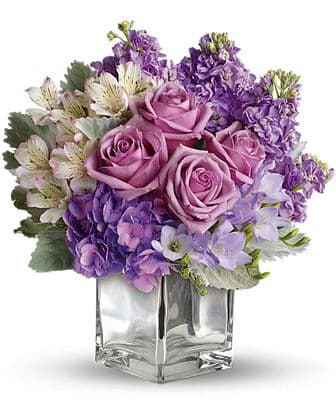 Sweet as Sugar by Teleflora