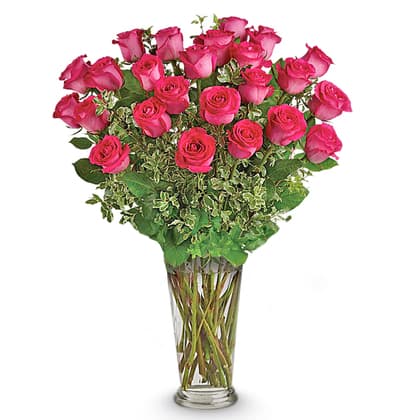 Dreaming in Pink Roses