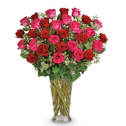 Dreaming in Pink Roses