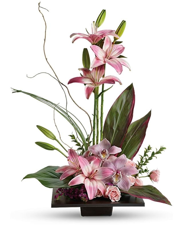 Imagination Blooms with Cymbidium Orchids