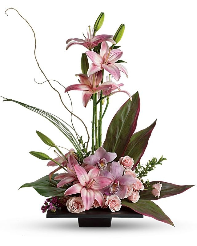 Imagination Blooms with Cymbidium Orchids