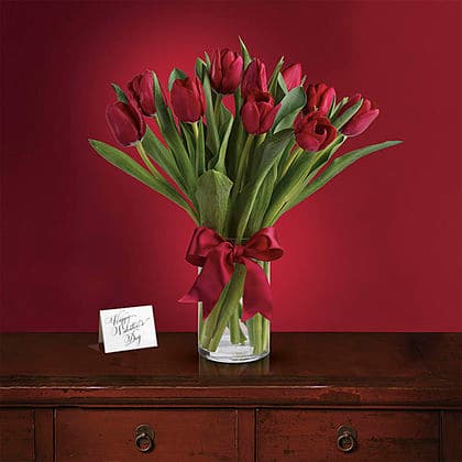 Radiantly Red Tulips