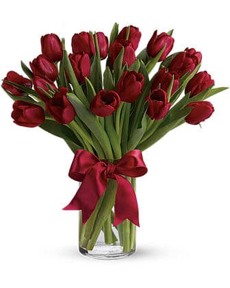 Radiantly Red Tulips