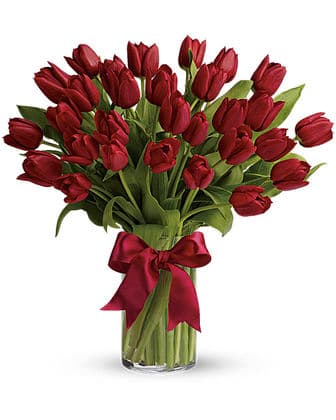 Radiantly Red Tulips