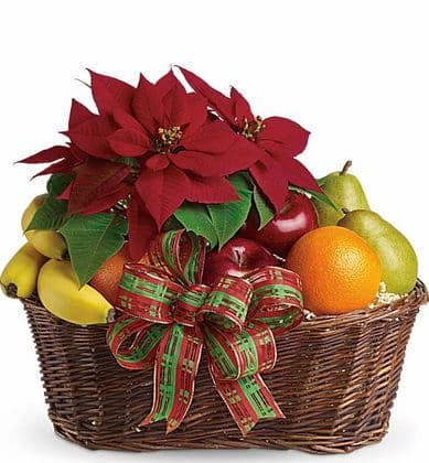 Fruit and Poinsettia Basket