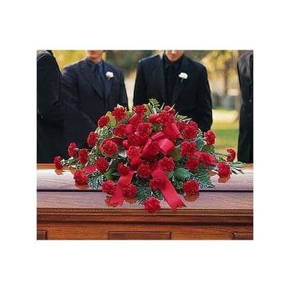 Red Regards Carnations Casket Spray