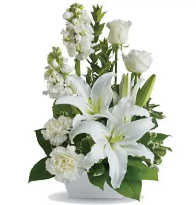 Simply White Design