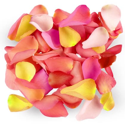 Mix Color Rose Petals