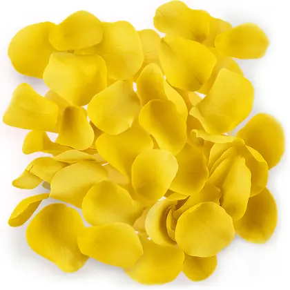 Yellow Rose Petals