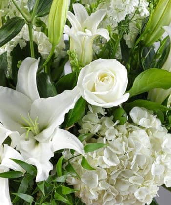 Luxury Glory Beauty