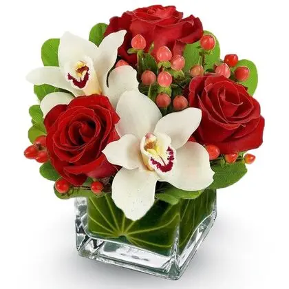 Sweet Love of Roses and Orchids