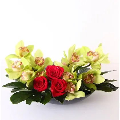Dancing Roses with Orchids
