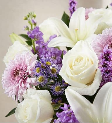 Lavender and White Elegancy Flowers