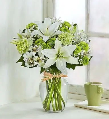 Shade Of Green Delicacy