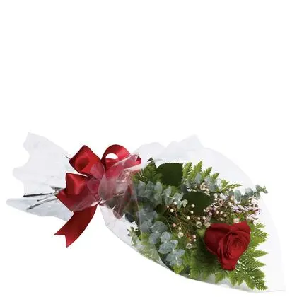 Single Red Rose