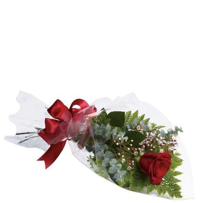 Single Red Rose