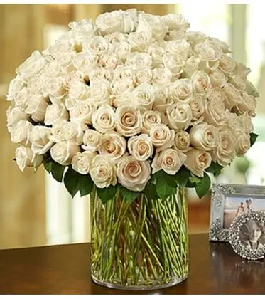 100 Premium Long-Stemmed White Roses in a Vase