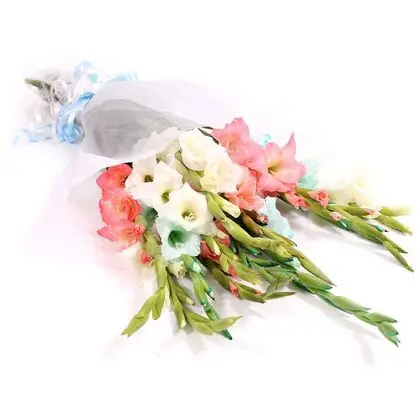 Mixed Color Gladiolus