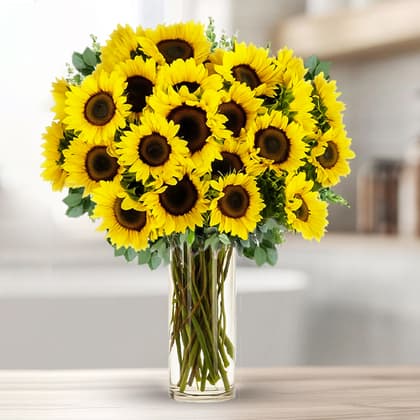 Fifty Sunshine Sunflowers Arranged in a Vase