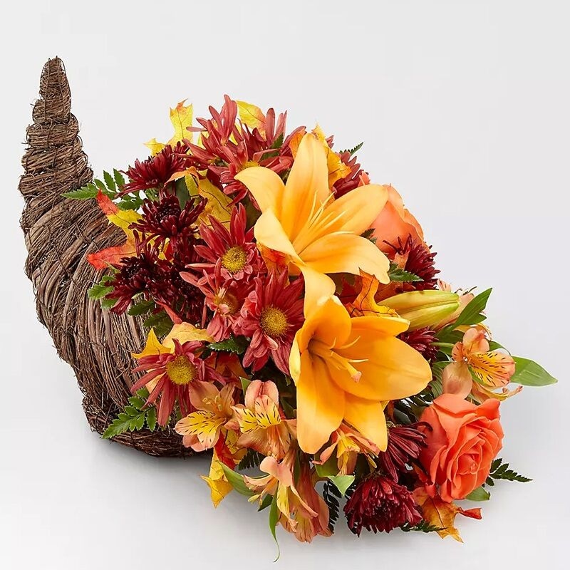 Harvest Comfort Cornucopia