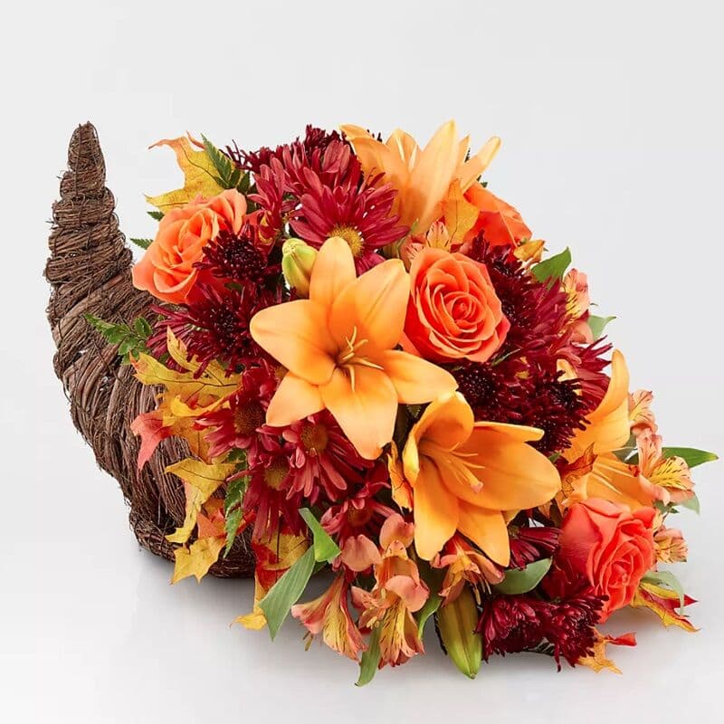 Harvest Comfort Cornucopia