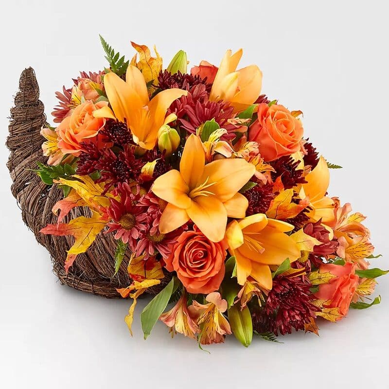 Harvest Comfort Cornucopia