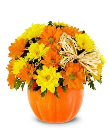 Sunny Daisy Pumpkin