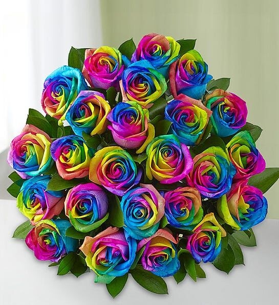 Joy of Rainbow Roses