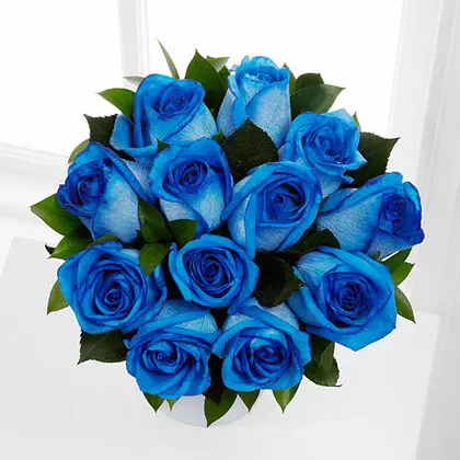 Blue Moon Roses