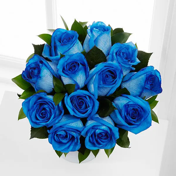 Blue Moon Roses