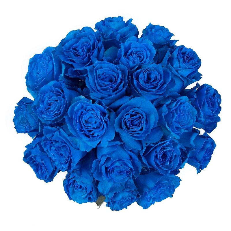 Blue Moon Roses