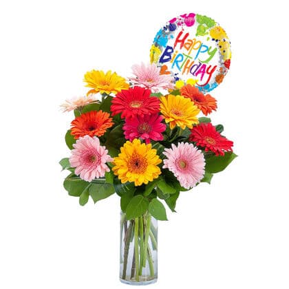 Playful Birthday Gerbera