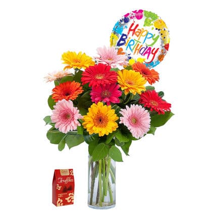 Playful Birthday Gerbera