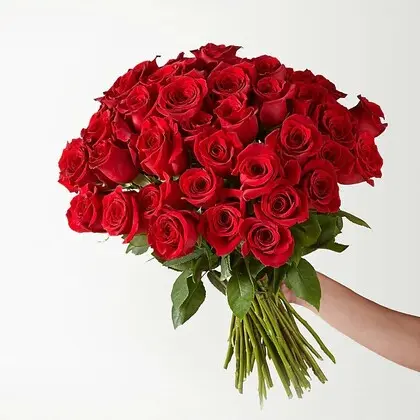 50 Red Roses Bouquet