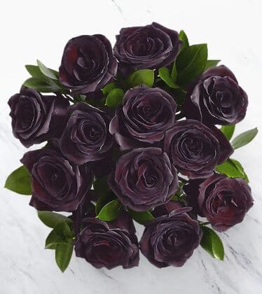 Black Premium Roses