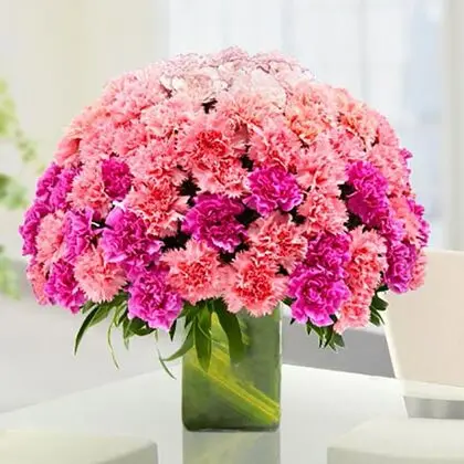 100 Mix Color Carnations in A Vase