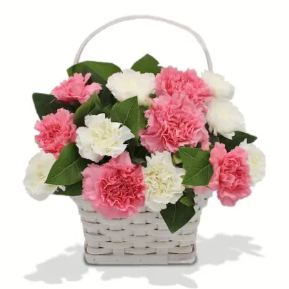 Carnation Beauty Basket Arrangement