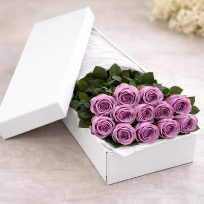 Dozen Lavender Roses in a Box