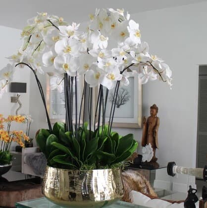 Glorious Phalaenopsis Orchid Centerpiece