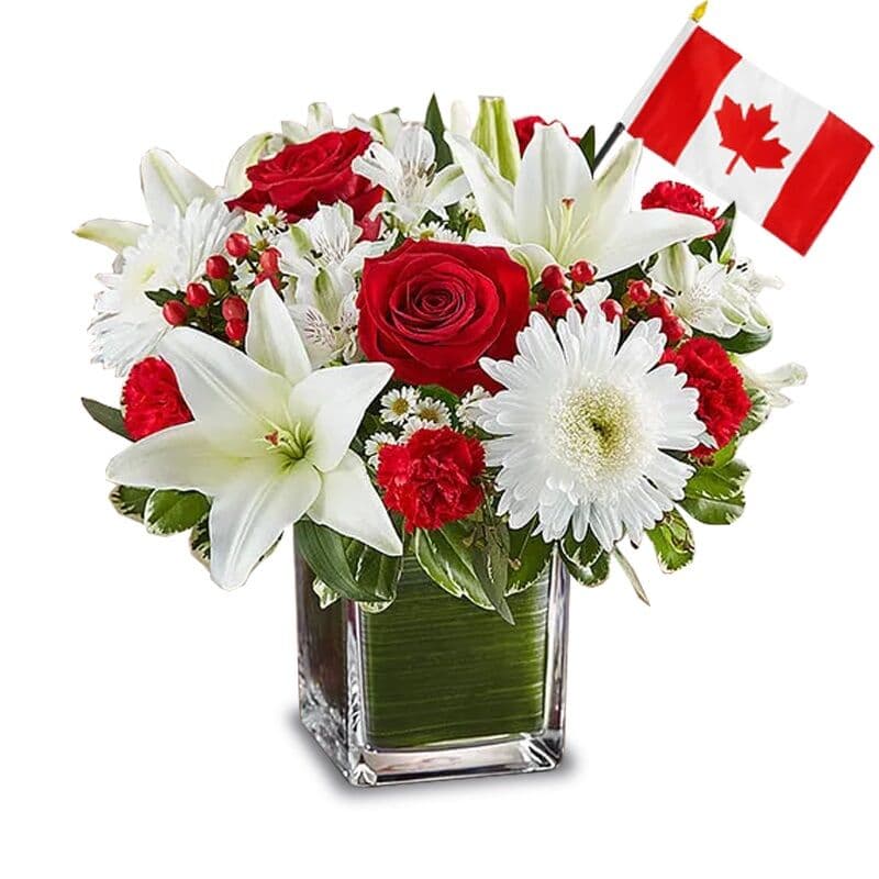 Red and White Canada Day Flowers
