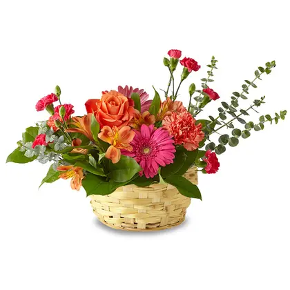 Colorful Basket Arrangement