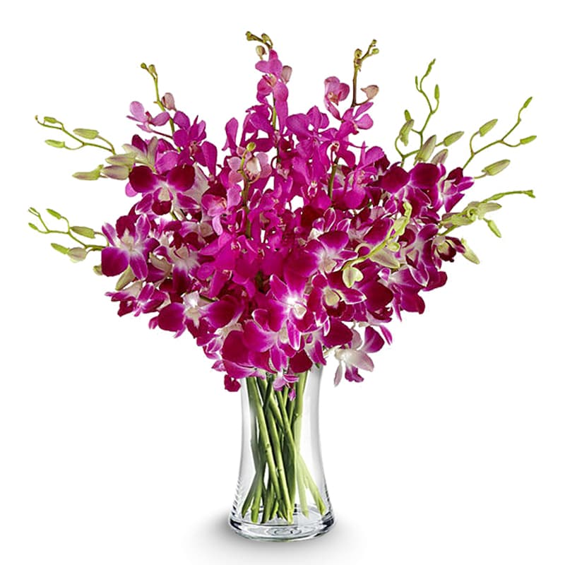 Orchid Bouquet by Vera Wang