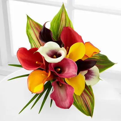 Sunkissed Mini Calla Lily Bouquet