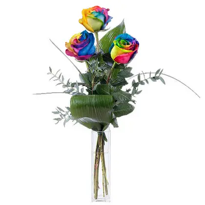 Simply Fresh Rainbow Roses