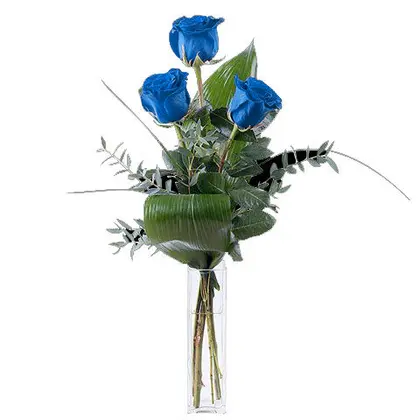 Simply Fresh Blue Roses