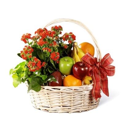 Falling For Fruits and Blooming Plant Gift