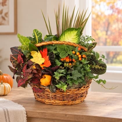 Fall Blooming Planter Basket