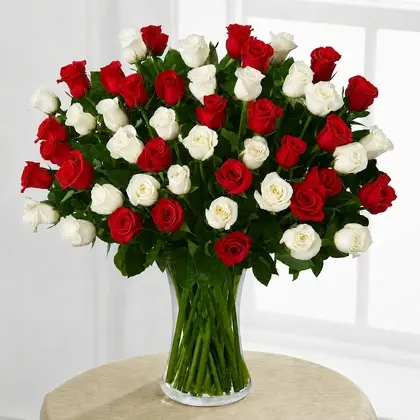 50 Red and White Roses in a Vase