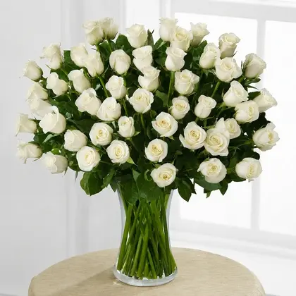 50 White Roses in a Vase